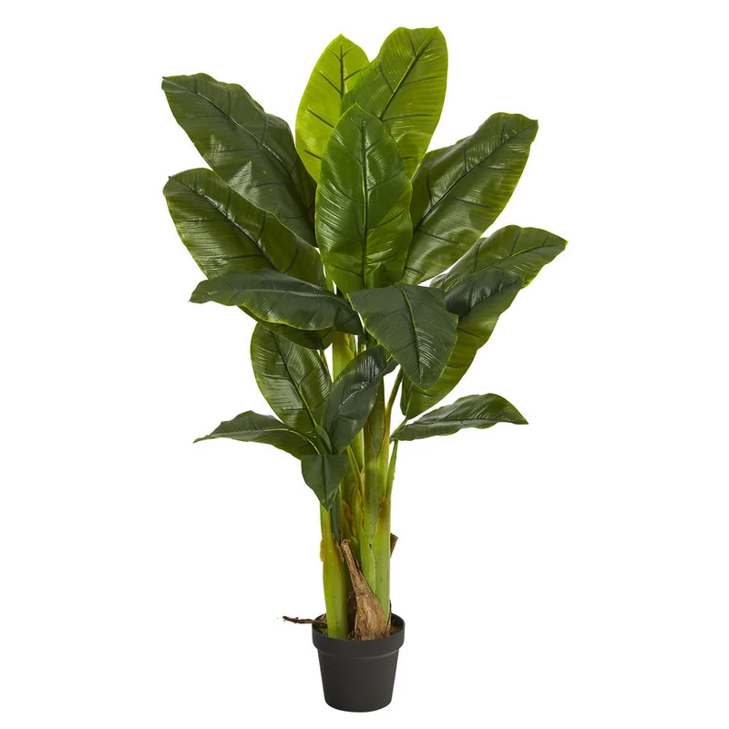 hubert3566349