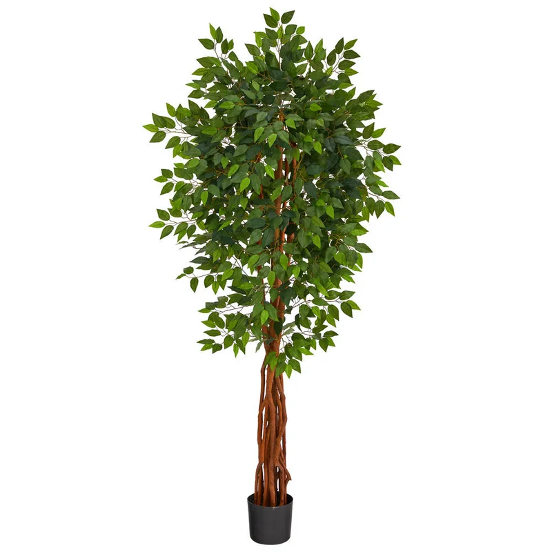 hubert3567296