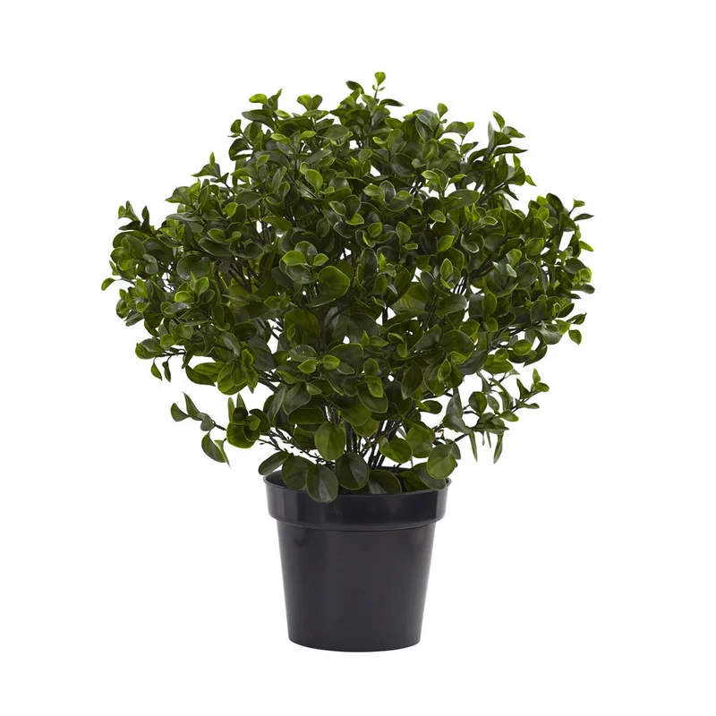 hubert3575992