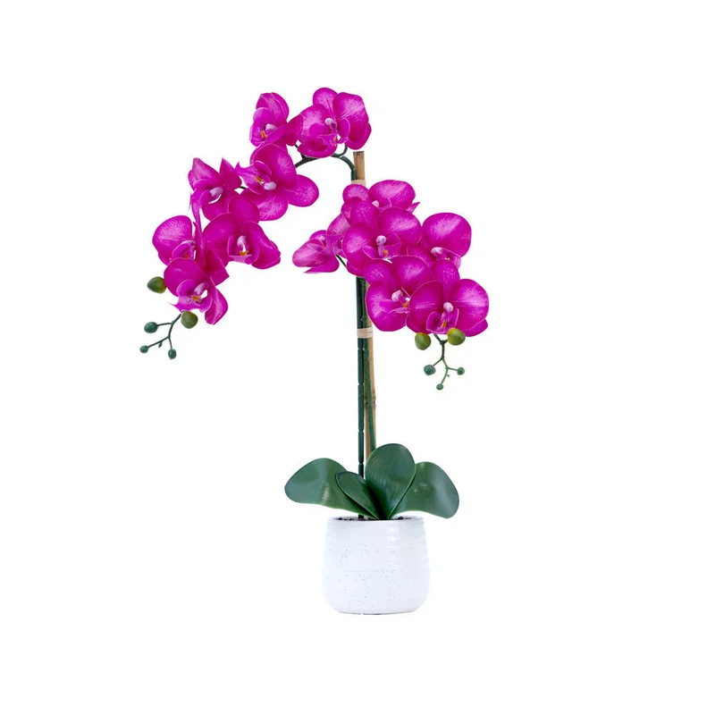 hubert3585676