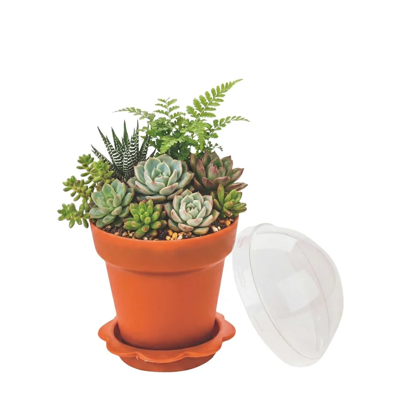 restaurantware2239647